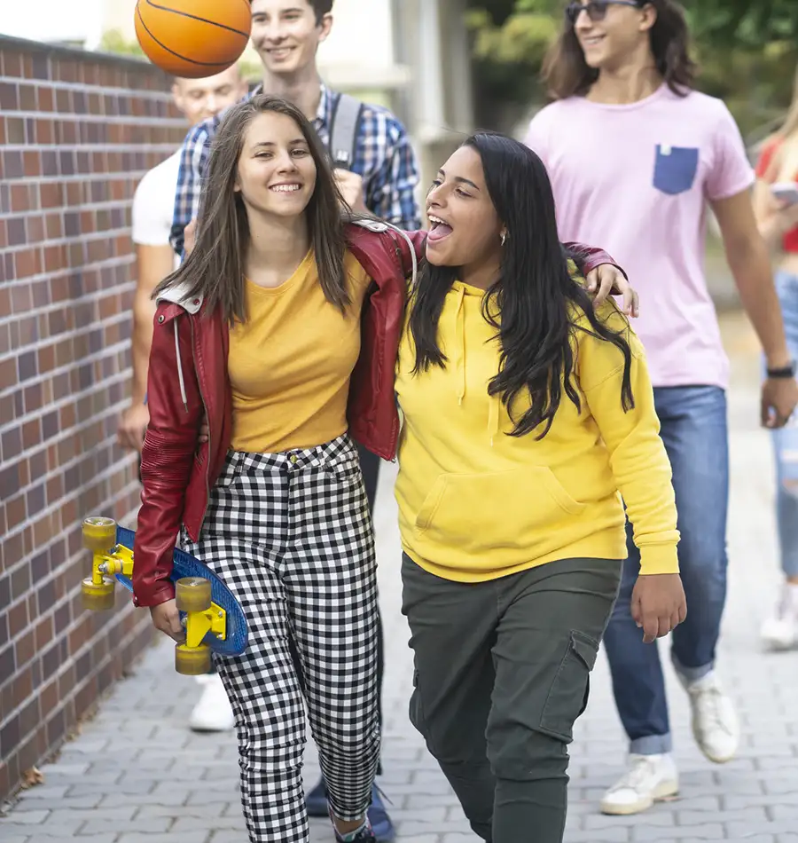 Accordion related image