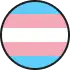 Transgender Flag Icon