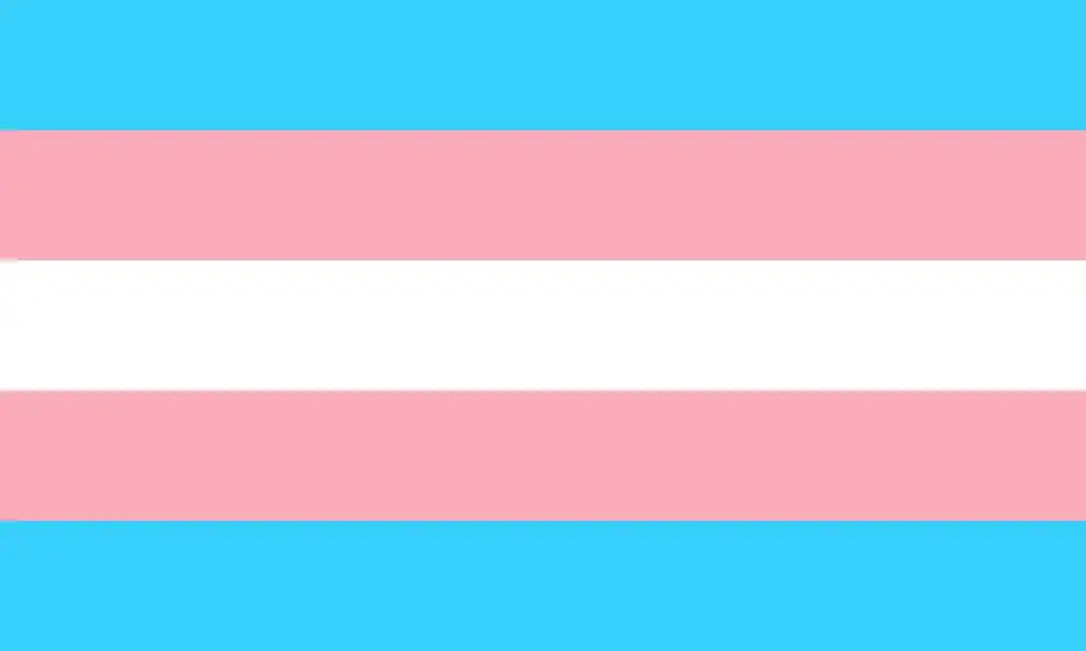 trans-flag.webp